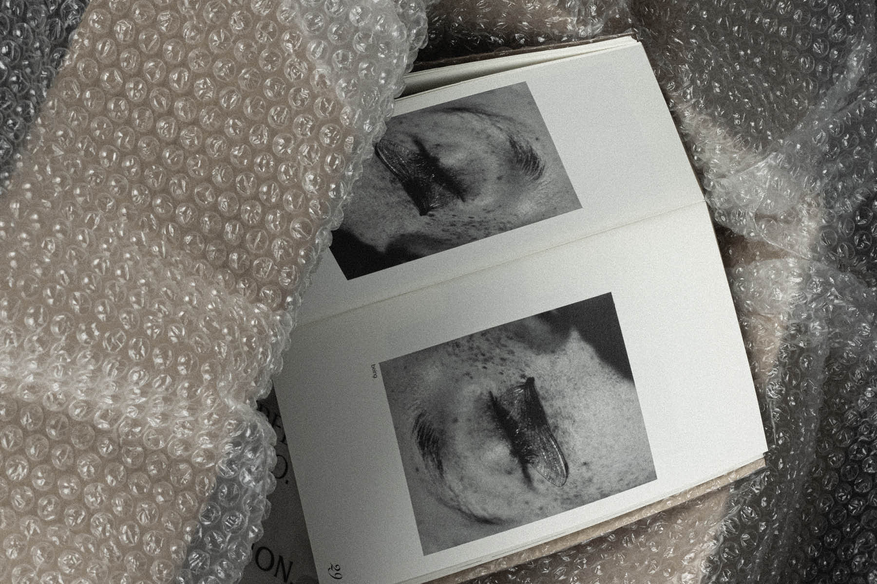 manifesto fotografia 1